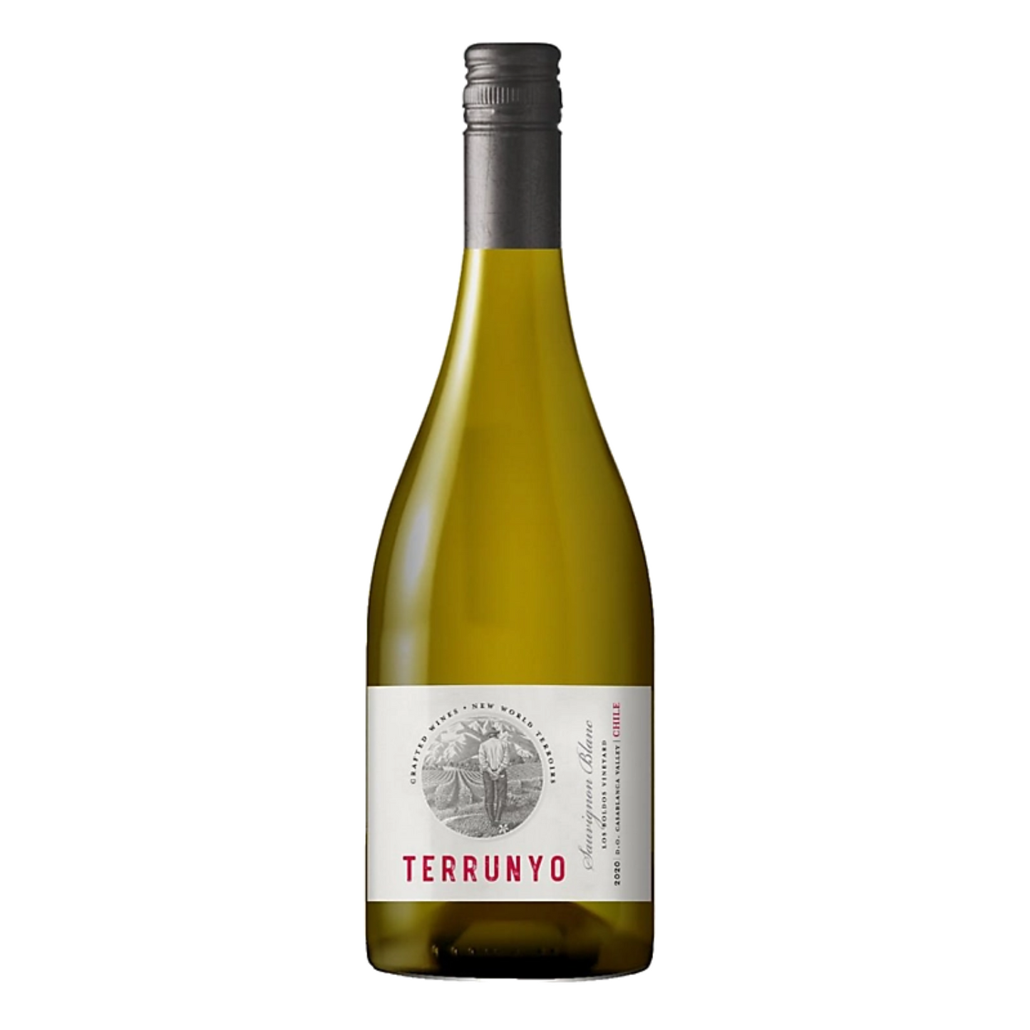 TERRUNYO SAUVIGNON BLANC BLANCO 2021