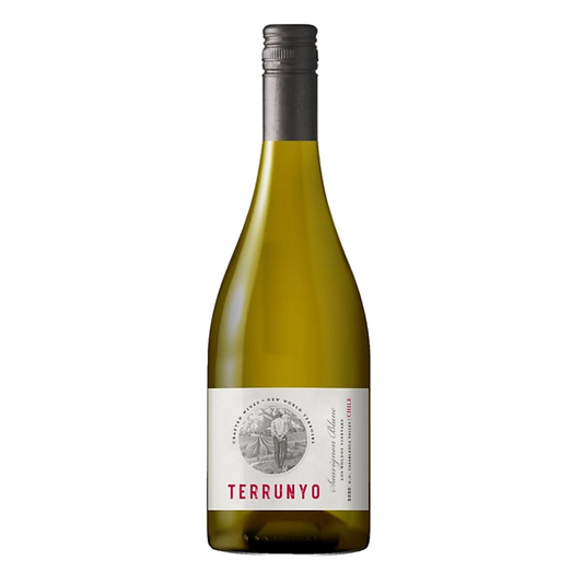 TERRUNYO SAUVIGNON BLANC BLANCO 2021